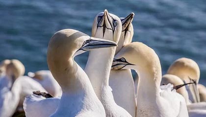 九游体育app：让热爱体育在指尖起航的全新体验