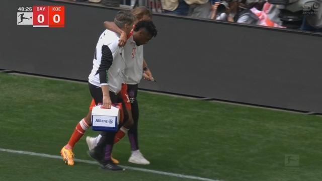 1713022703820037650.jpg 科曼.jpg