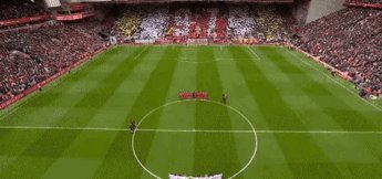 1713100150588057231.gif IMG_2685.gif